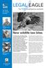 LEGAL EAGLE. New wildlife law bites. The RSPB s investigations newsletter. OCTOBER 2003 No 38. Page 2 Gamekeeper narrowly avoids jail