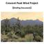 Crescent Peak Wind Project (Briefing Document)