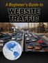 A Beginner s Guide to Website Traffic