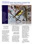 LOUISIANA BIRD RECORDS COMMITTEE Annual Report 2009 April 1, 2009