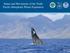 Status and Movements of the North Pacific Humpback Whale Population