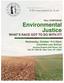 Fall Symposium ENVIRONMENTAL JUSTICE: WHAT S RACE GOT TO DO WITH IT?