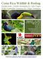 Costa Rica Wildlife & Birding Monteverde, Celeste Mountain & Caño Negro With Naturalist Journeys & Caligo Ventures