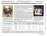 Epson Stylus Photo RX595 Print Permanence Ratings (preliminary 1 )