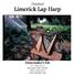Finished Limerick Lap Harp