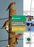 Best practice. for safeguarding dangerous for birds. electrical power grid elements in Bulgaria