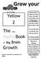 Grow your. Yellow 2 The wee Maths Book. Growth. of Big Brain