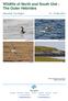 Wildlife of North and South Uist - The Outer Hebrides