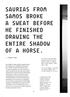 SAURIAS FROM SAMOS BROKE A SWEAT BEFORE HE FINISHED DRAWING THE ENTIRE SHADOW OF A HORSE.