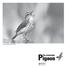 Louisiana Waterthrush Lana Hays. Pigeon. the passenger. April 2012 Vol. 47, No. 13