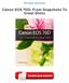 Canon EOS 70D: From Snapshots To Great Shots Ebooks For Free