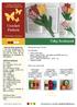 Crochet Pattern. Tulip Bookmark