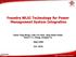Foundry WLSI Technology for Power Management System Integration