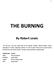 THE BURNING. By Robert Lewis