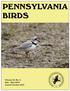 PENNSYLVANIA BIRDS. Journal of the Pennsylvania Society for Ornithology. Volume 30 Number 2 Mar May 2016