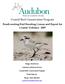 Beach nesting Bird Breeding Census and Report for Coastal Alabama 2007