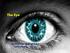 The Eye. Nakhleh Abu-Yaghi, M.B.B.S Ophthalmology Division