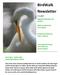 BirdWalk Newsletter Magnolia Plantation and Gardens. Walks Conducted by Perry Nugent. Newsletter Written by Jayne J.
