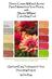 How to Create Wall and Accent Paint Palettes from Your Photos, with Sherwin Williams ColorSnapTool