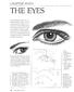 CHAPTER SEVEN THE EYES