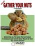 GATHER YOUR NUTS! Generating All The Leads You Can Handle To Increase Cash Flow & Build Wealth In Your Real Estate Business