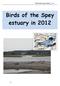 Birds of the Spey estuary Birds of the Spey estuary in 2012
