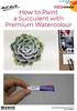 How to Paint a Succulent with Premium Watercolour