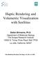 Haptic Rendering and Volumetric Visualization with SenSitus