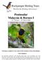 Peninsular Malaysia & Borneo I