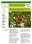 Joint Working Partnership: Developing Lepidoptera conservation and monitoring (24845) Wings across Wales