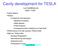 Cavity development for TESLA