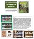 All art projects in this PDF designed by. Donna Love for educational purposes only. Do not reproduce or use for profit. Winter Elk