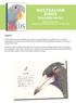 AUSTRALIAN BIRDS TEACHERS NOTES. Written by Matt Chun Published by Hardie Grant Egmont in October 2018 SYNOPSIS