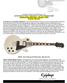ADVANCE PRODUCT INFORMATION R1.0 Ltd Ed Tommy Thayer Spaceman Les Paul Standard Outfit Consumer Announcement January 1, 2013 (In stores Feb 2013.