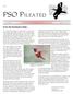 December 2008 The Newsletter of the Pennsylvania Society for Ornithology Volume 19, Number 4